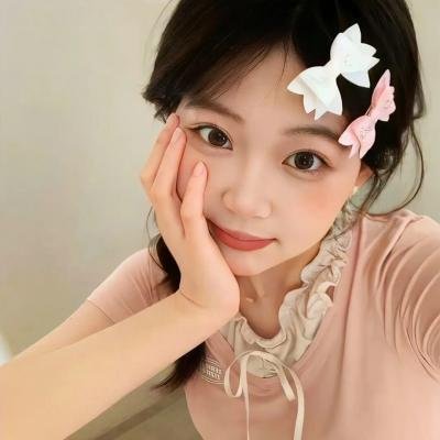一个小型的专制共和国